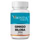 256 - Ginkgo Biloba Po 500mg - 60 doses.jpg